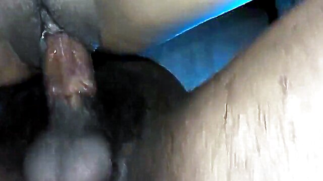 Amateur, this is a webcam show, xxx porn se, malik sex videos, you are a beta